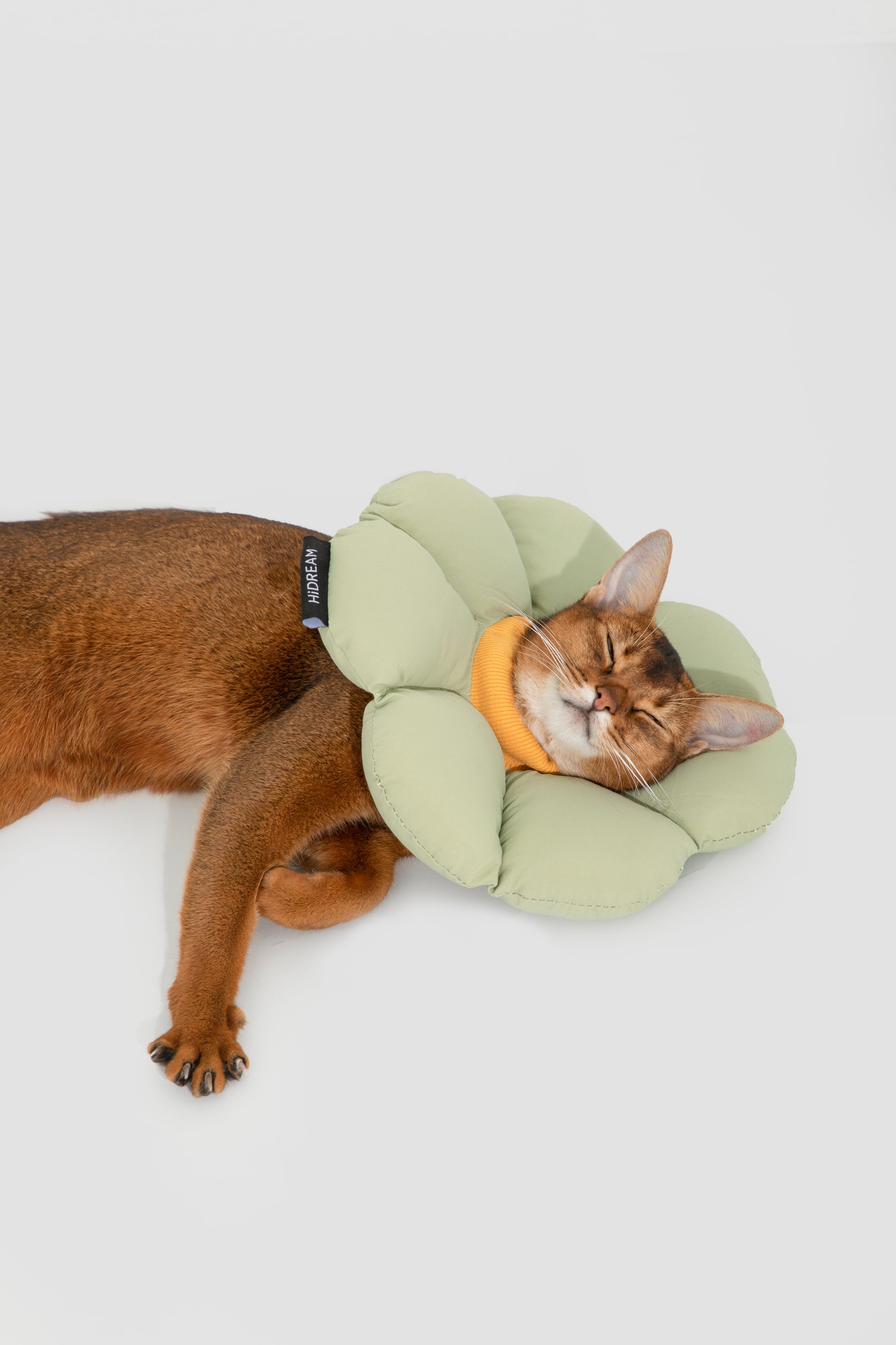Pet Floral Elizabeth Collar