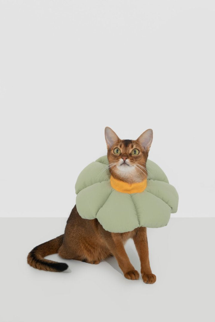 Pet Floral Elizabeth Collar