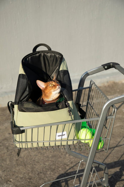 Lightweight Pet Travel Backpack