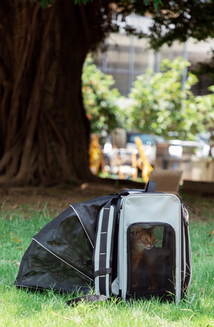 Outdoor Pet Double-Opening Backpack